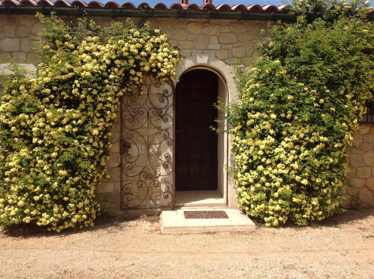 Ferme Para Lou Sainte-Croix-de-Verdon Ngoại thất bức ảnh