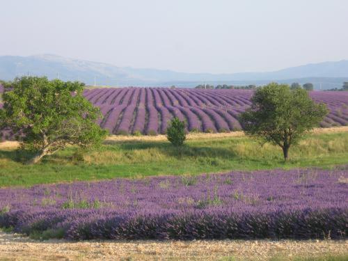 Ferme Para Lou Sainte-Croix-de-Verdon Ngoại thất bức ảnh
